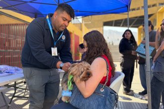 WhatsApp Image 2025-11-19 at 11.22.01.jpeg